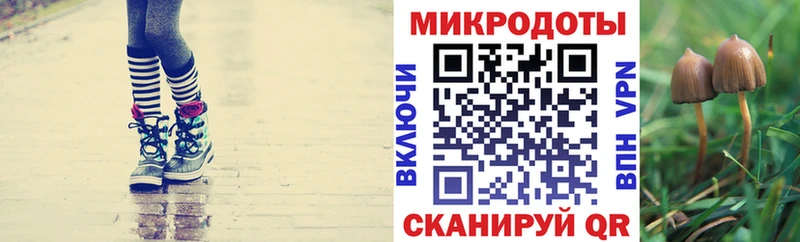 Галлюциногенные грибы прущие грибы  нарко площадка телеграм  Нестеровская 