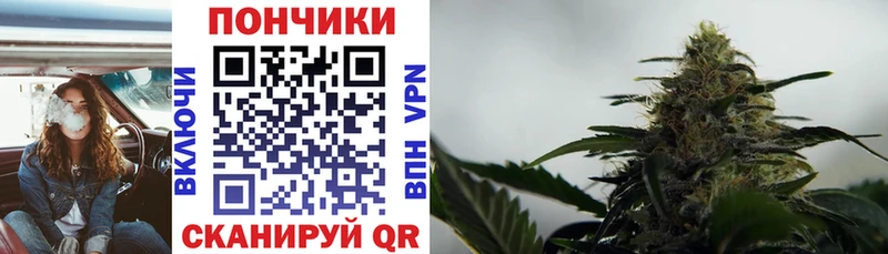 Бошки марихуана OG Kush  Нестеровская 